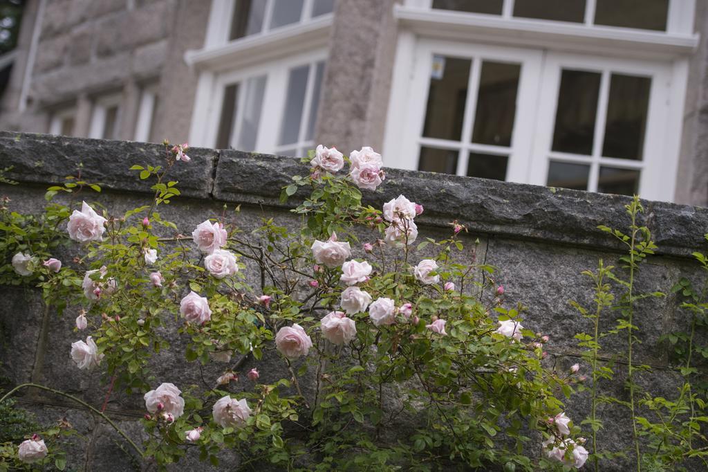 Bed and Breakfast Lys-Na-Greyne Aboyne Exterior foto