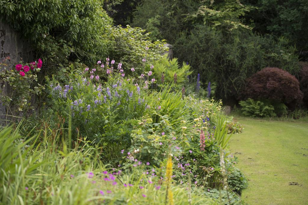 Bed and Breakfast Lys-Na-Greyne Aboyne Exterior foto